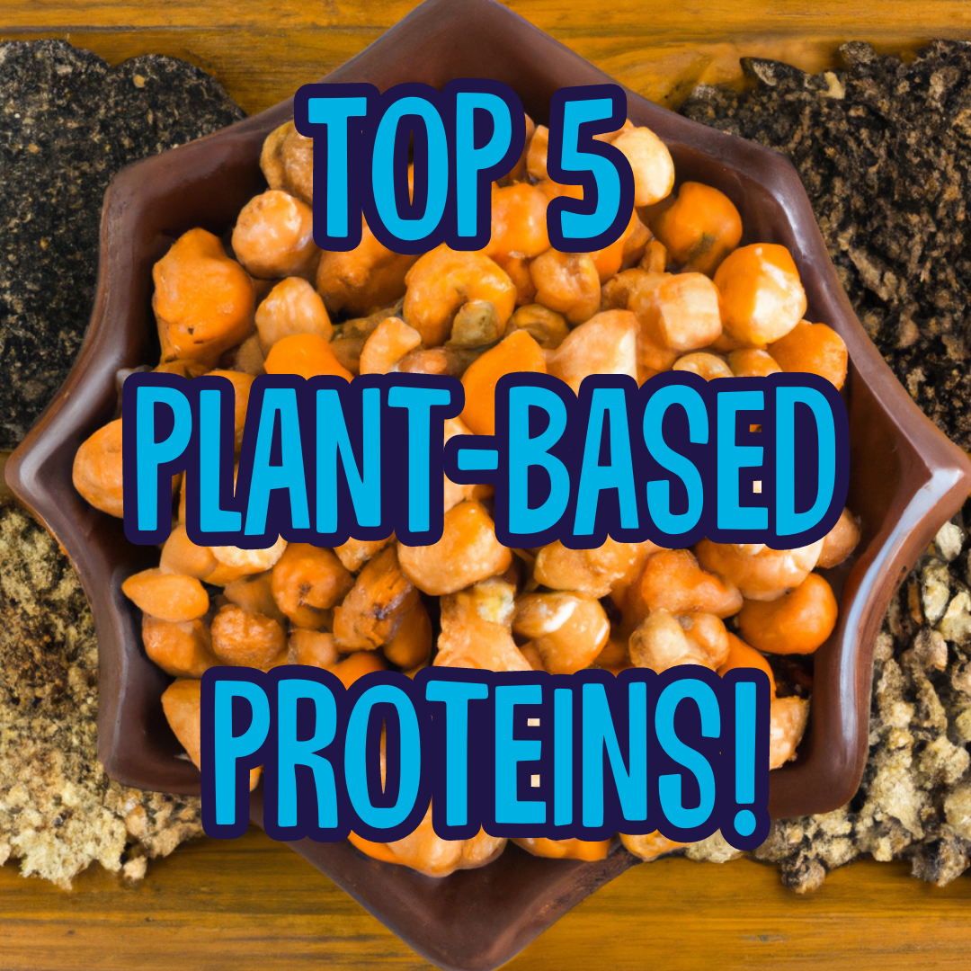 top-5-plant-based-sources-of-protein-brass-roots