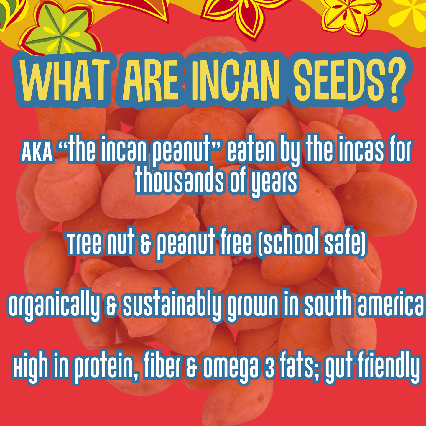 Semillas de proteína inca orgánicas cajún - Bolsa de 1 oz para llevar (paquetes de 6 y 12)