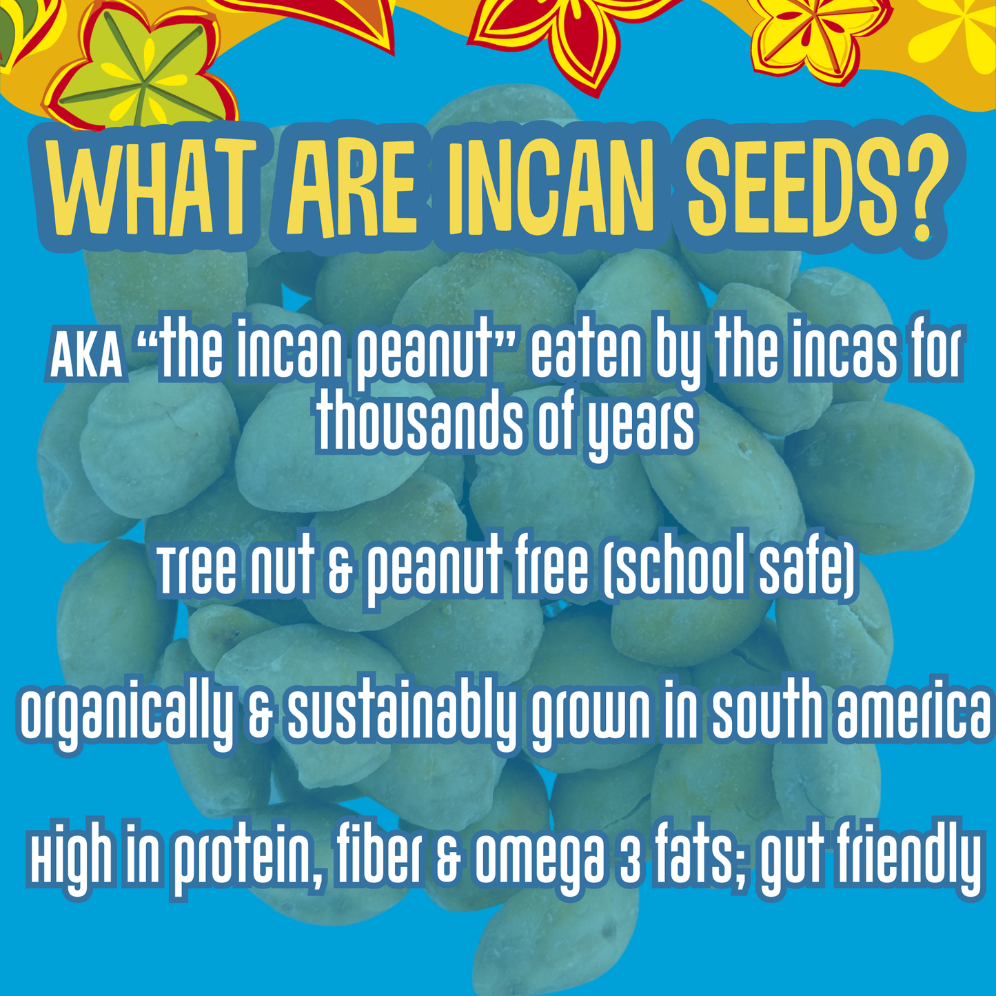 Organic Incan Protein Seeds - 1 oz Variety Pack (10 Pack)