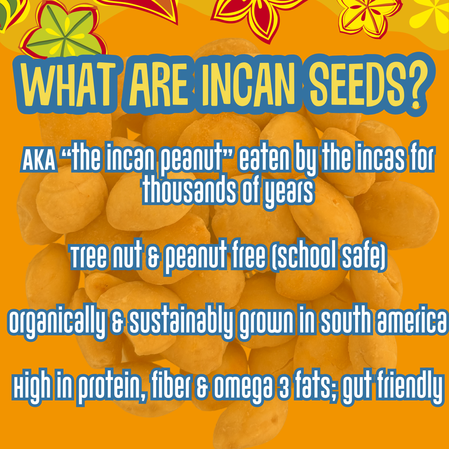 Semillas de proteína inca orgánicas picantes - Bolsa de 1 oz para llevar (paquetes de 6 y 12)