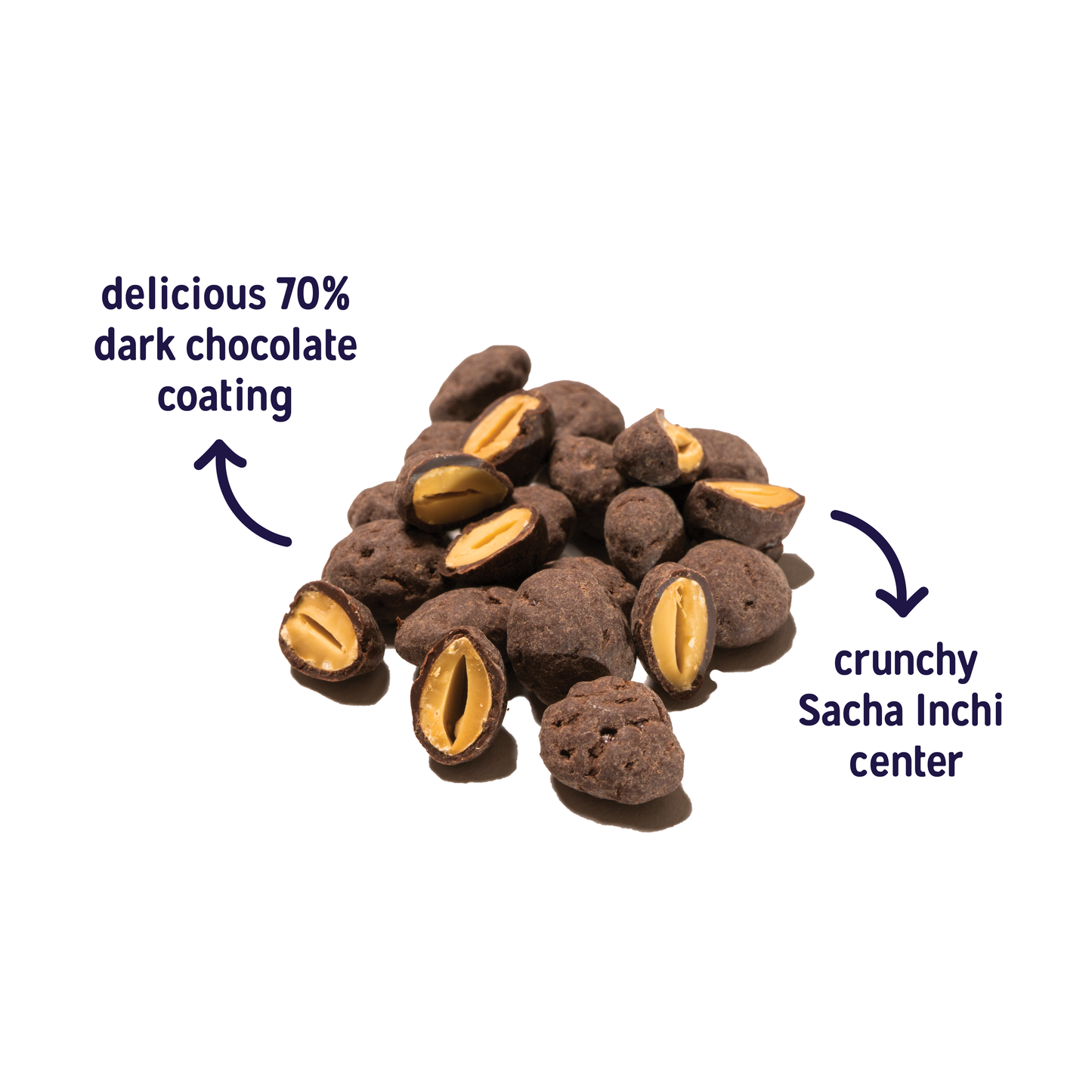 Dark Chocolate Coated - Roasted Sacha Inchi - Incan Seeds [16oz bag]