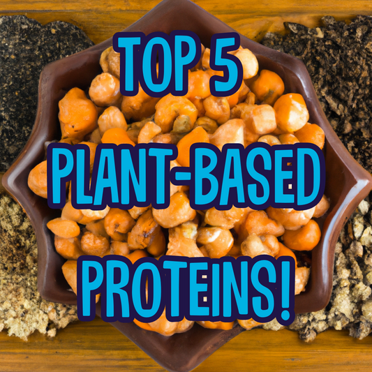 Top 5 Plant-Based Sources of Protein!
