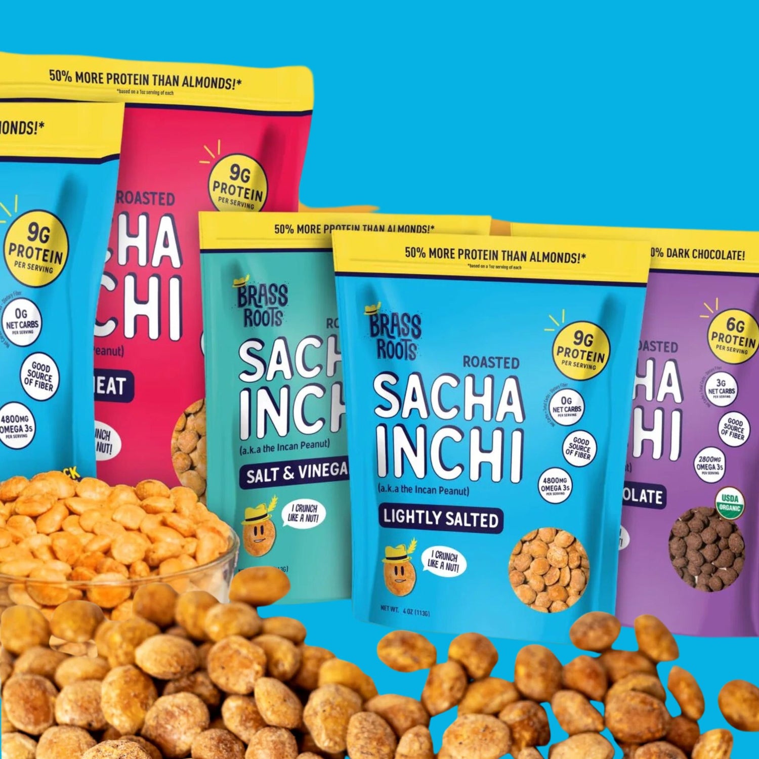5-Pack Roasted Sacha Inchi