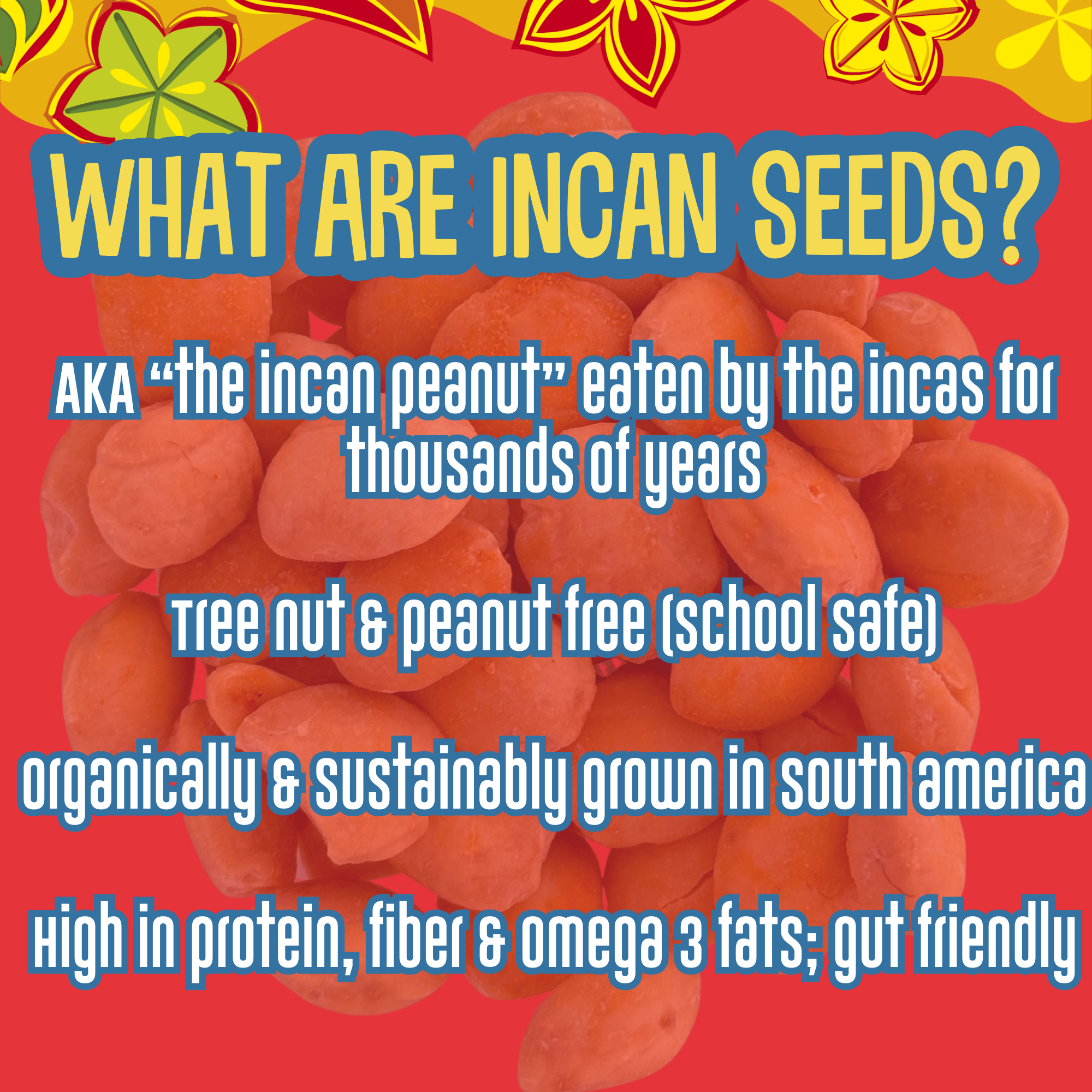 Semillas de proteína inca orgánicas cajún - Paquete de refrigerio de 10 oz