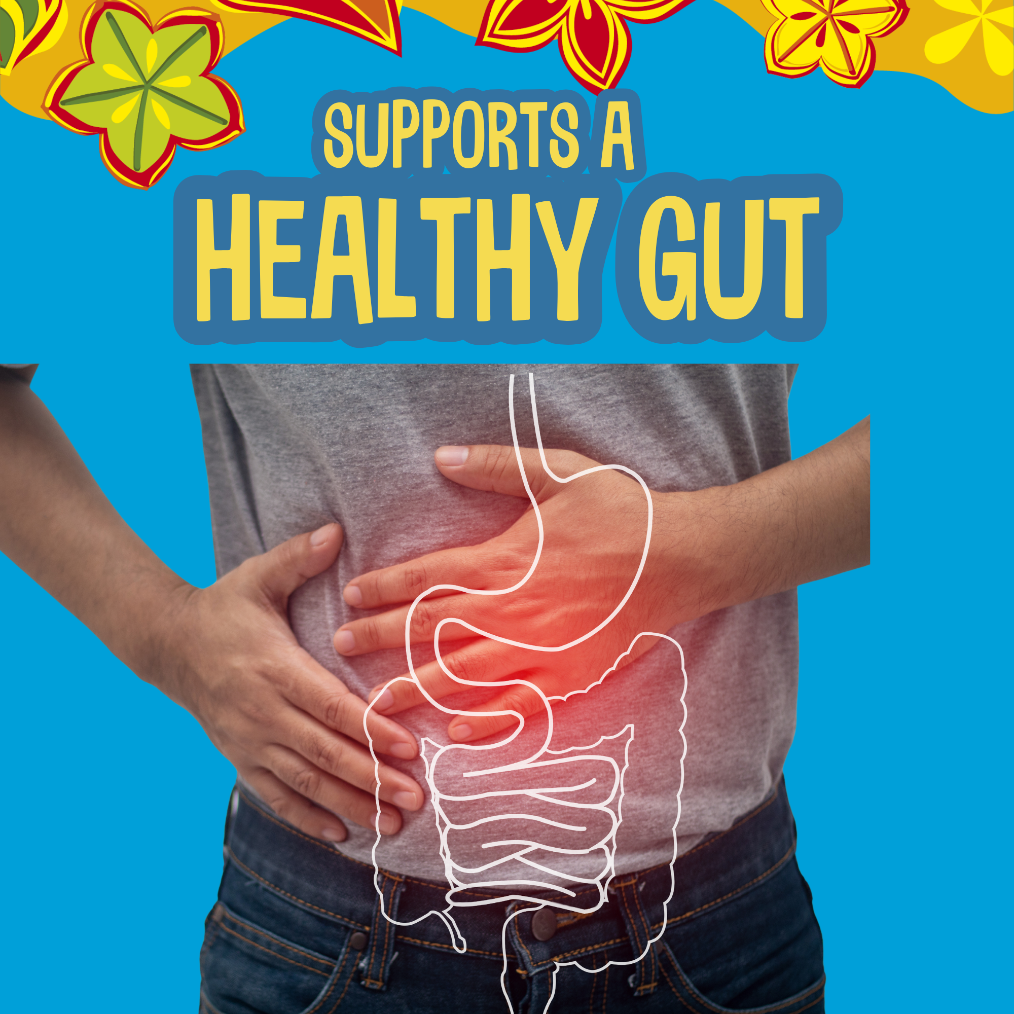 Paquete de sabor de 10 oz - Paquete de refrigerio de semillas de proteína inca orgánica