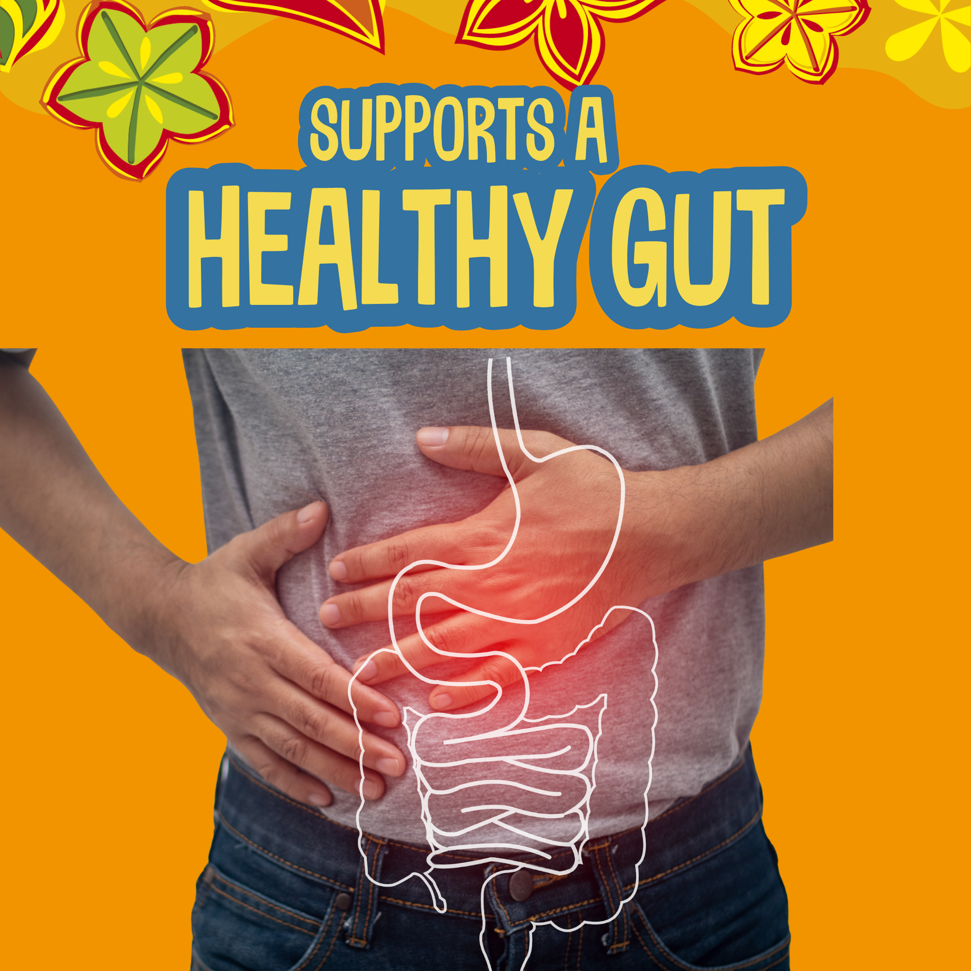 Bolsa picante de 5 libras