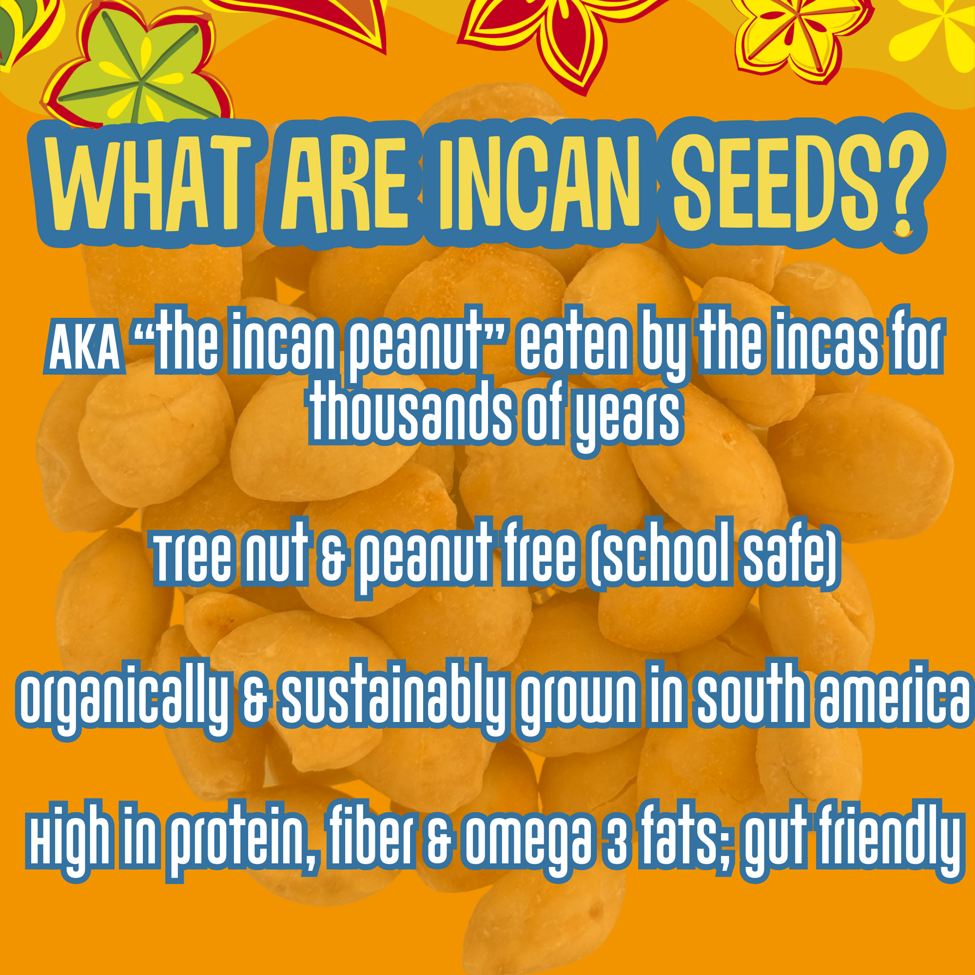 Spicy Organic Incan Protein Seeds - 10 oz Snack Pack