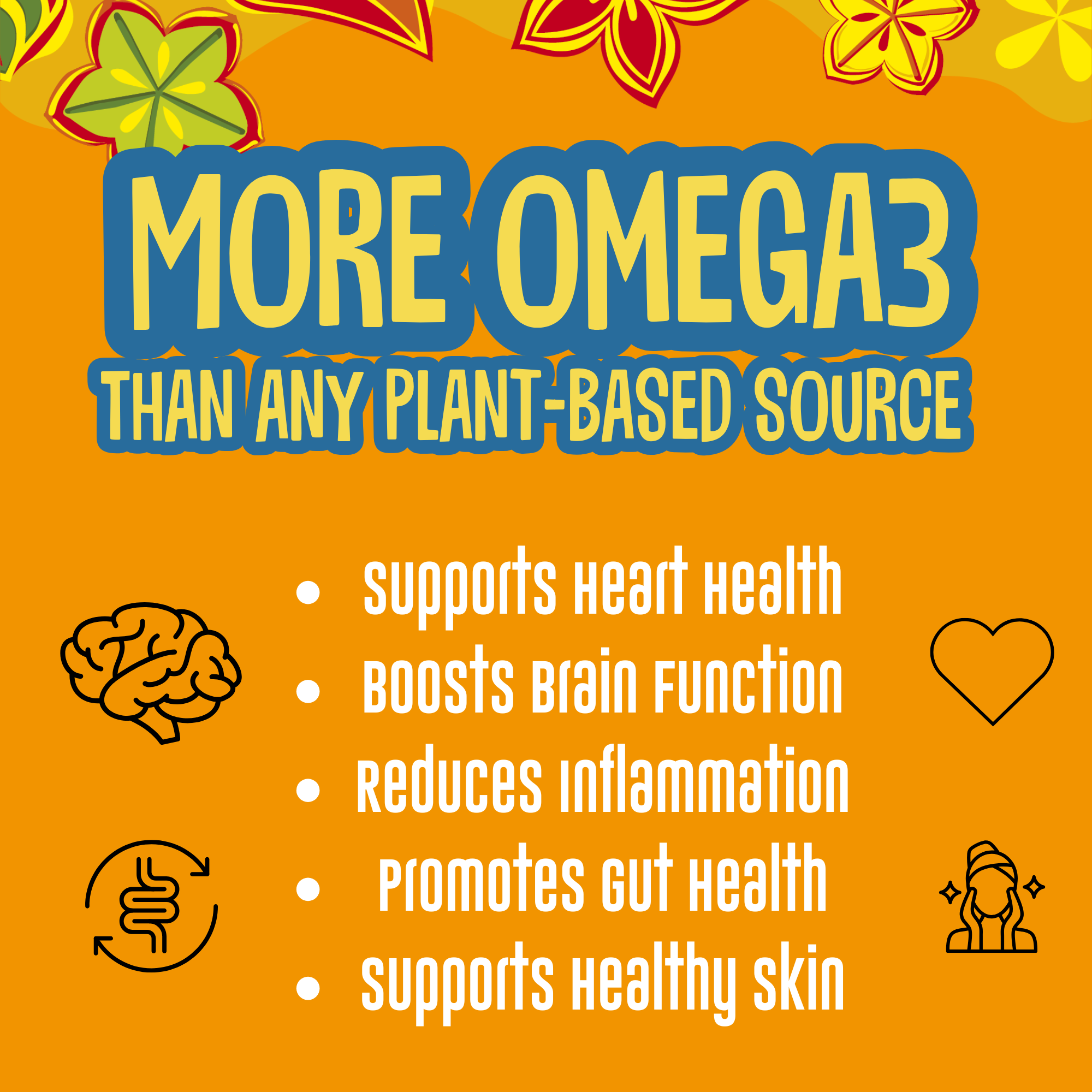 Semillas de proteína inca orgánicas picantes - Paquete de refrigerio de 10 oz