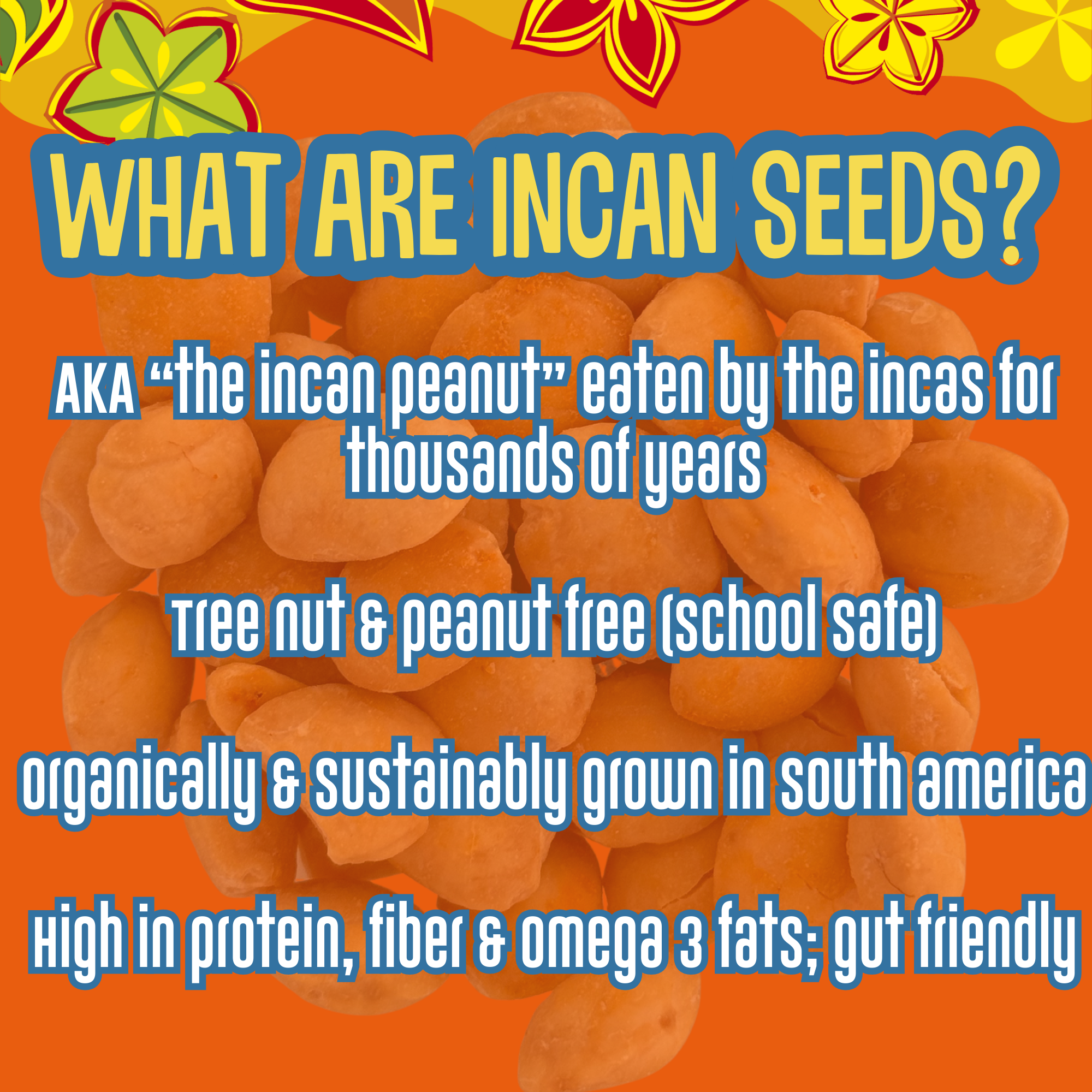 Sweet Heat Organic Incan Protein Seeds - 1 oz Grab n Go Bag