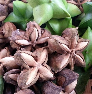 Brass Roots: Snack with a Purpose