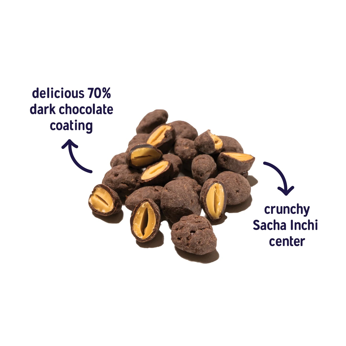 Dark Chocolate Coated Protein Seeds .86 oz - 6 Pack